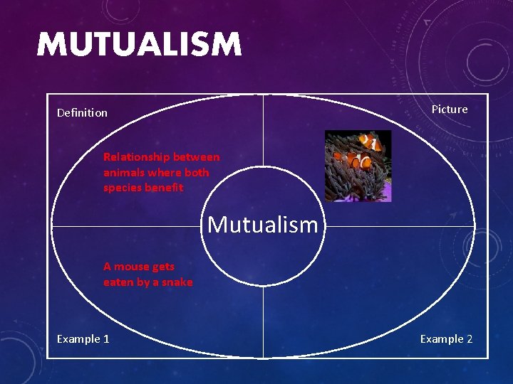 MUTUALISM Picture Definition Relationship between animals where both species benefit Mutualism A mouse gets