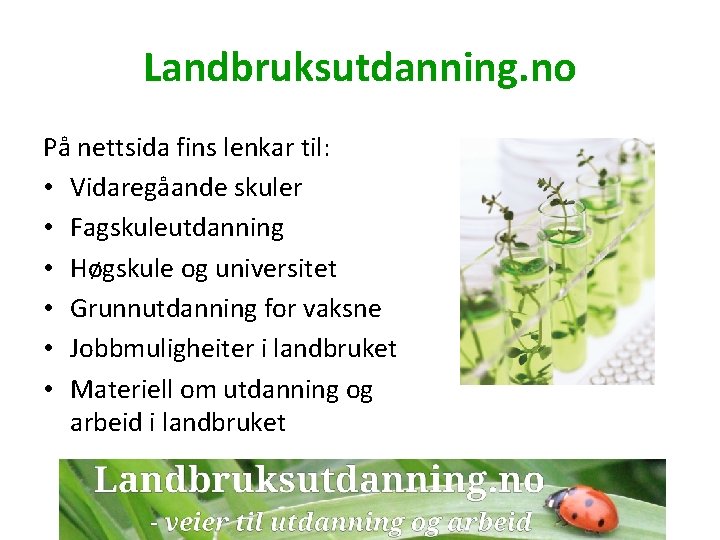 Landbruksutdanning. no På nettsida fins lenkar til: • Vidaregåande skuler • Fagskuleutdanning • Høgskule