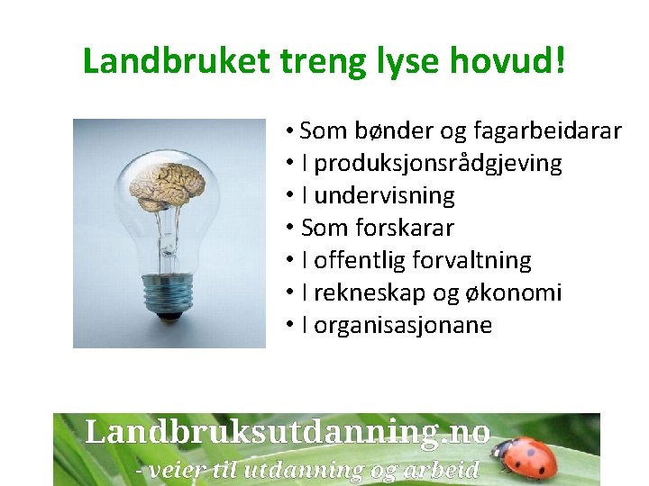 Landbruket treng lyse hovud! • Som bønder og fagarbeidarar • I produksjonsrådgjeving • I