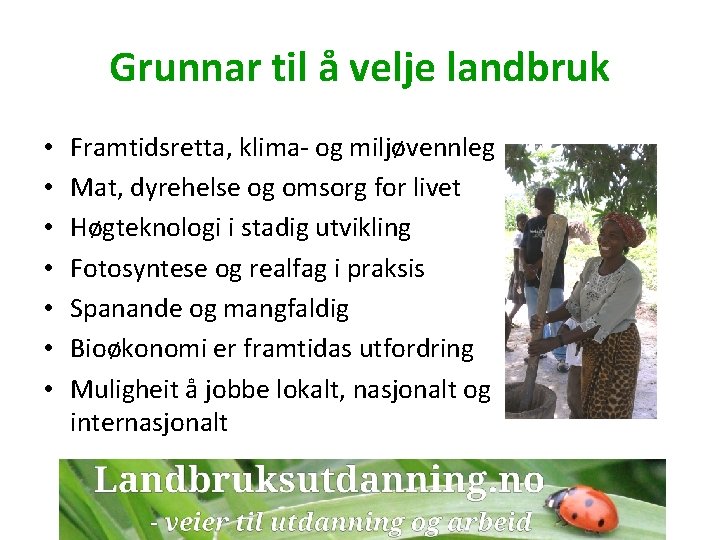 Grunnar til å velje landbruk • • Framtidsretta, klima- og miljøvennleg Mat, dyrehelse og