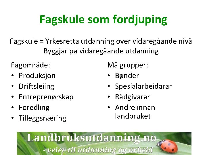 Fagskule som fordjuping Fagskule = Yrkesretta utdanning over vidaregåande nivå Byggjar på vidaregåande utdanning