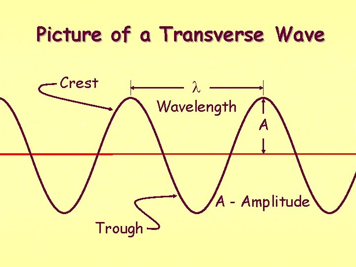 Picture of a Transverse Wave Crest l Wavelength A A - Amplitude Trough 