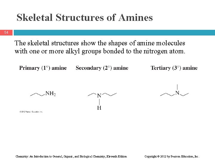 Skeletal Structures of Amines 54 The skeletal structures show the shapes of amine molecules