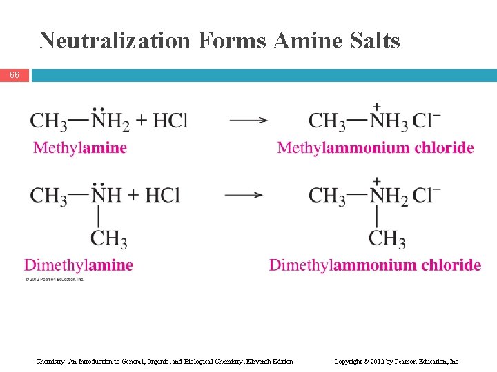 Neutralization Forms Amine Salts 66 Chemistry: An Introduction to General, Organic, and Biological Chemistry,