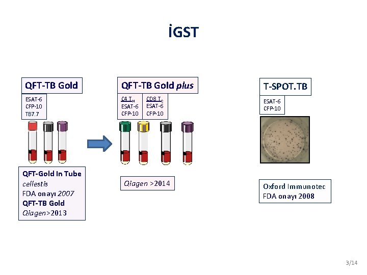 İGST QFT-TB Gold plus ESAT-6 CFP-10 TB 7. 7 C 4 TH ESAT-6 CFP-10