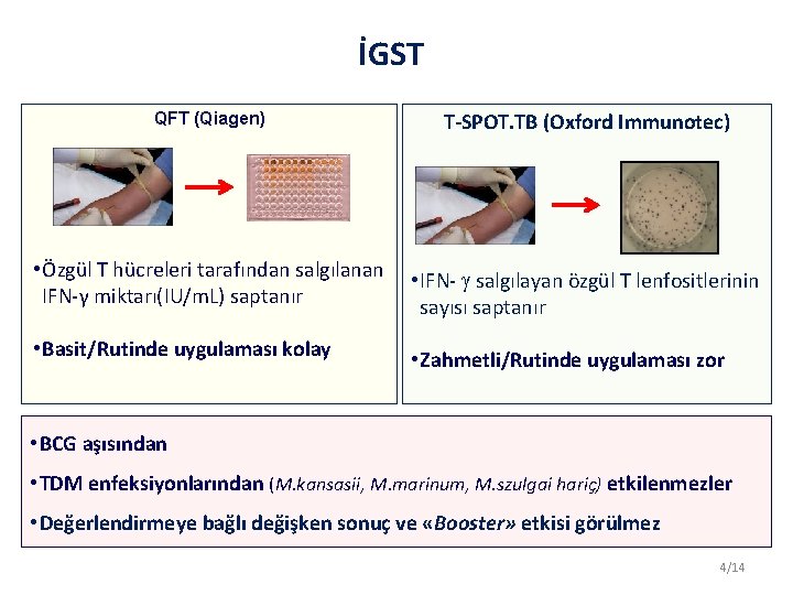 İGST QFT (Qiagen) T-SPOT. TB (Oxford Immunotec) • Özgül T hücreleri tarafından salgılanan IFN-γ