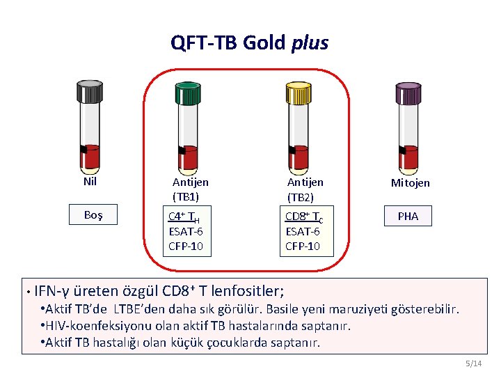 QFT-TB Gold plus Nil Boş • IFN-γ üreten özgül Antijen (TB 1) C 4+