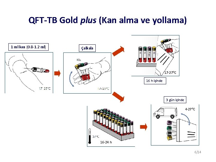 QFT-TB Gold plus (Kan alma ve yollama) 1 ml kan (0. 8 -1. 2