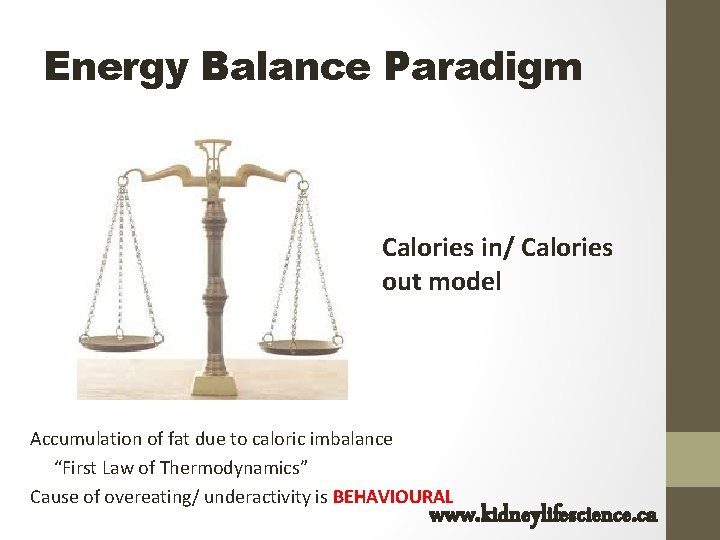 Energy Balance Paradigm Calories in/ Calories out model Accumulation of fat due to caloric