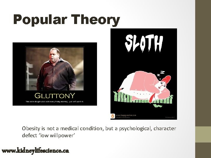 Popular Theory Obesity is not a medical condition, but a psychological, character defect ‘low