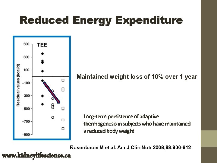 Reduced Energy Expenditure Maintained weight loss of 10% over 1 year Long-term persistence of