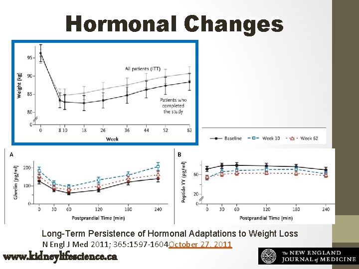 Hormonal Changes Mean (±SE) Changes in Weight from Baseline to Week 62. Long-Term Persistence