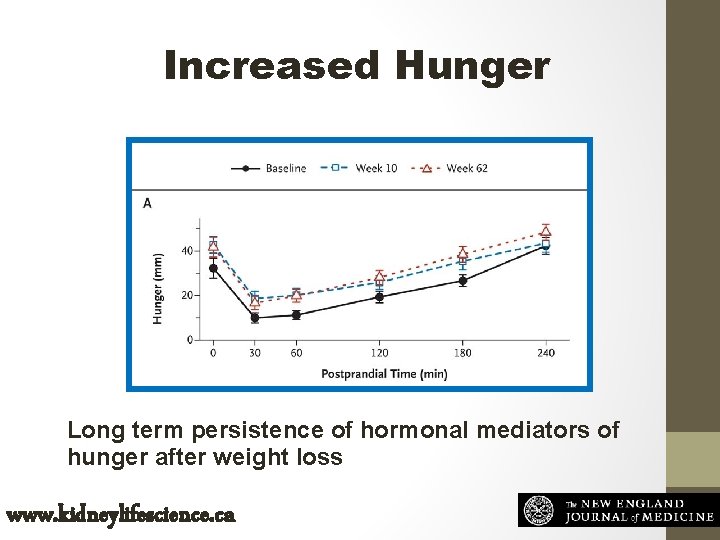 Increased Hunger Long term persistence of hormonal mediators of hunger after weight loss www.