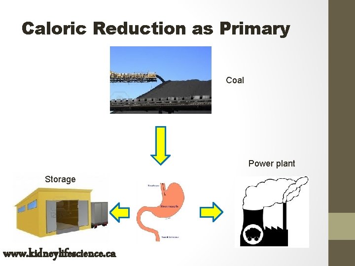 Caloric Reduction as Primary Coal Power plant Storage www. kidneylifescience. ca 