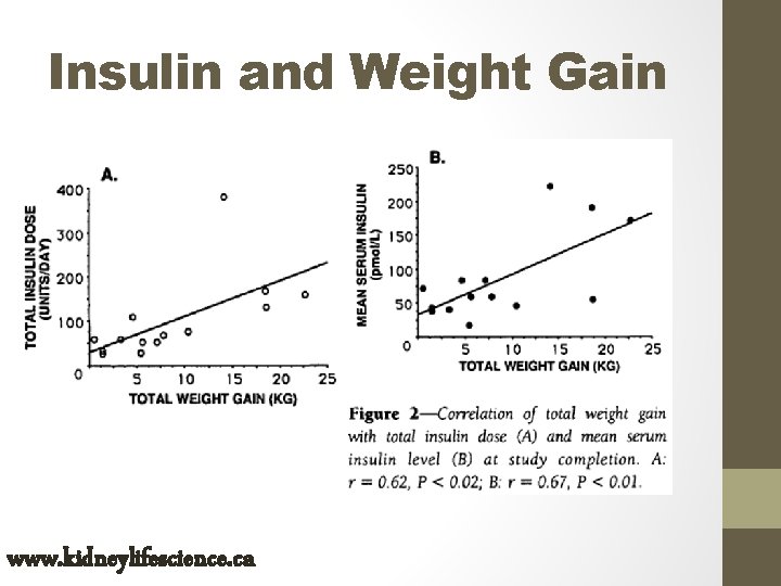 Insulin and Weight Gain www. kidneylifescience. ca 