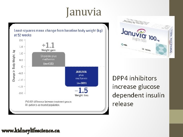 Januvia DPP 4 inhibitors increase glucose dependent insulin release www. kidneylifescience. ca 