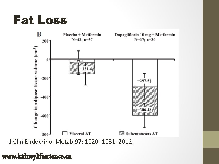 Fat Loss J Clin Endocrinol Metab 97: 1020– 1031, 2012 www. kidneylifescience. ca 