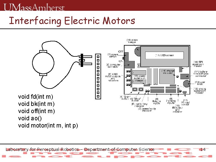 Interfacing Electric Motors void fd(int m) void bk(int m) void off(int m) void ao()