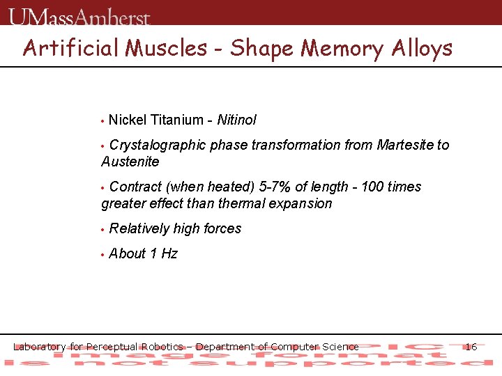 Artificial Muscles - Shape Memory Alloys • Nickel Titanium - Nitinol Crystalographic phase transformation