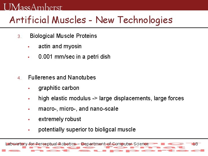Artificial Muscles - New Technologies Biological Muscle Proteins 3. 4. • actin and myosin