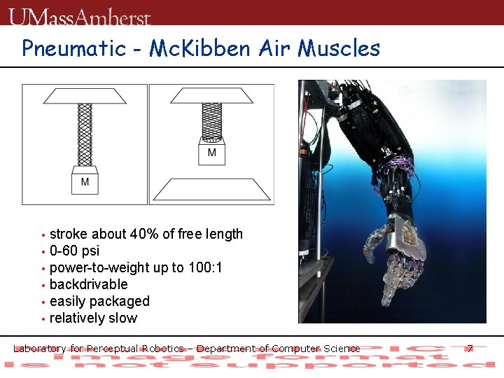 Pneumatic - Mc. Kibben Air Muscles stroke about 40% of free length • 0