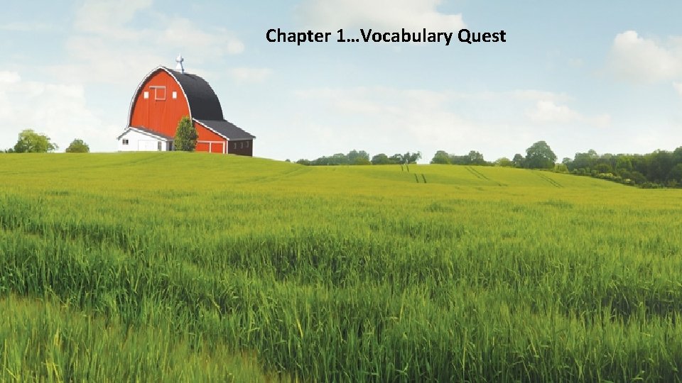 Chapter 1…Vocabulary Quest 