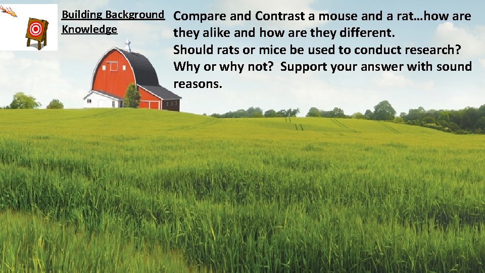 Building Background Compare and Contrast a mouse and a rat…how are Knowledge they alike
