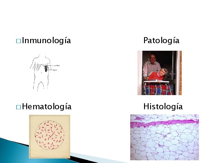 � Inmunología Patología � Hematología Histología 