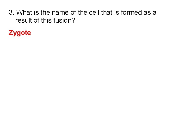 3. What is the name of the cell that is formed as a result