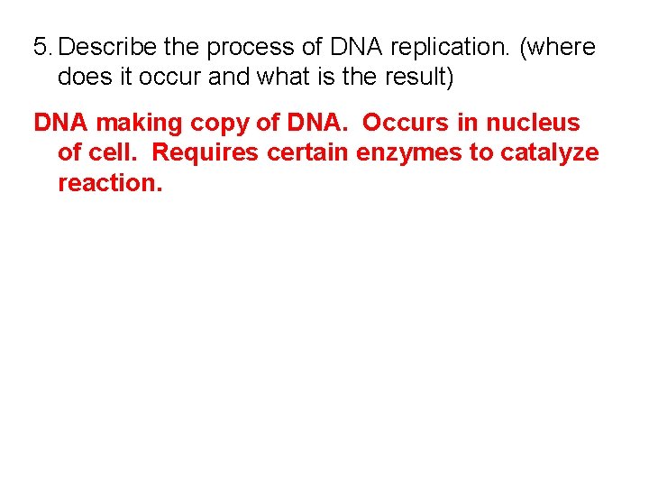 5. Describe the process of DNA replication. (where does it occur and what is