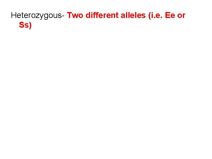 Heterozygous- Two different alleles (i. e. Ee or Ss) 