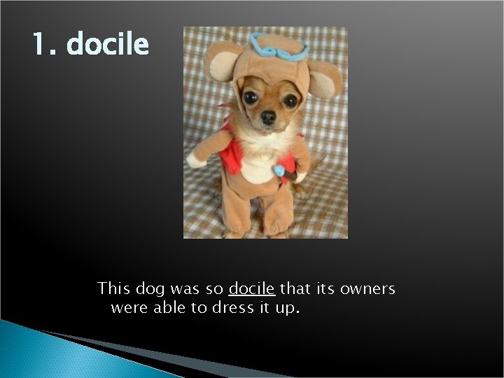 1. docile This dog was so docile that its owners were able to dress