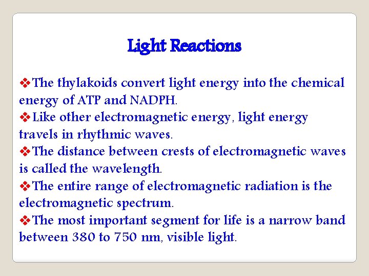 Light Reactions v. The thylakoids convert light energy into the chemical energy of ATP