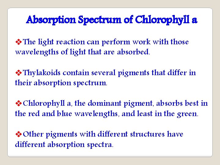 Absorption Spectrum of Chlorophyll a v. The light reaction can perform work with those