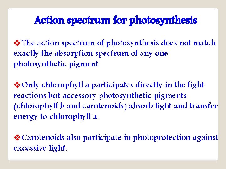 Action spectrum for photosynthesis v. The action spectrum of photosynthesis does not match exactly