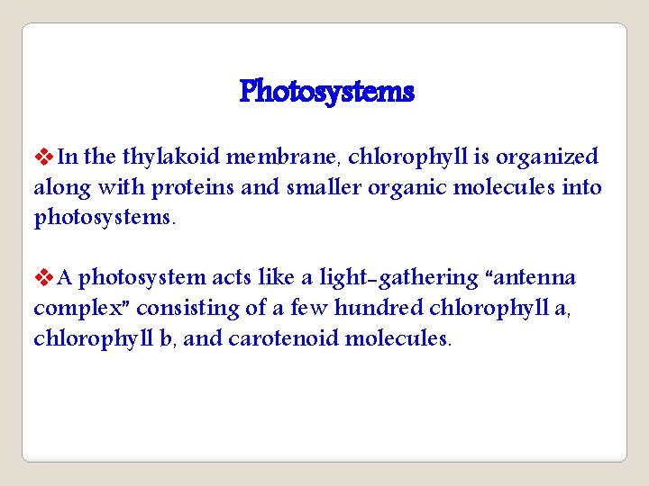 Photosystems v. In the thylakoid membrane, chlorophyll is organized along with proteins and smaller