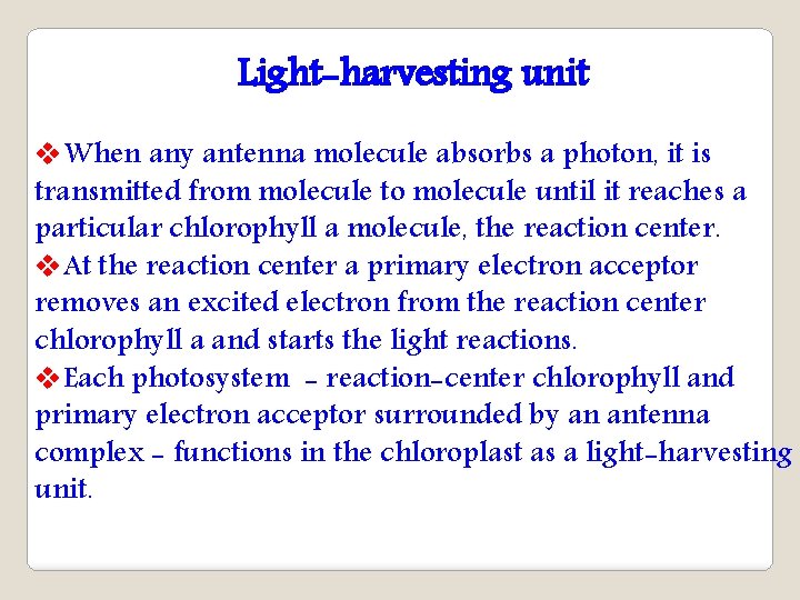 Light-harvesting unit v. When any antenna molecule absorbs a photon, it is transmitted from