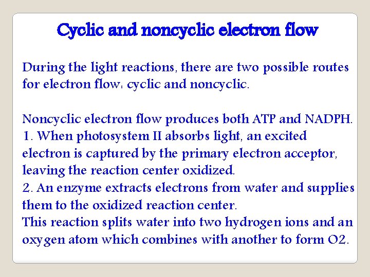 Cyclic and noncyclic electron flow During the light reactions, there are two possible routes