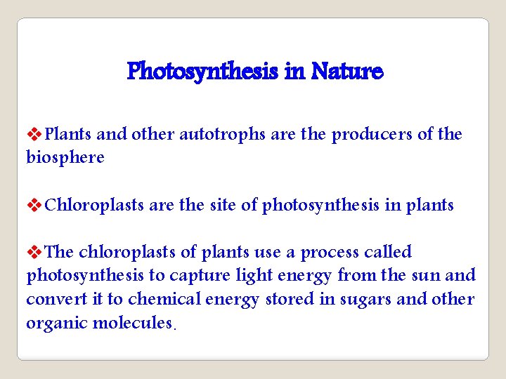 Photosynthesis in Nature v. Plants and other autotrophs are the producers of the biosphere