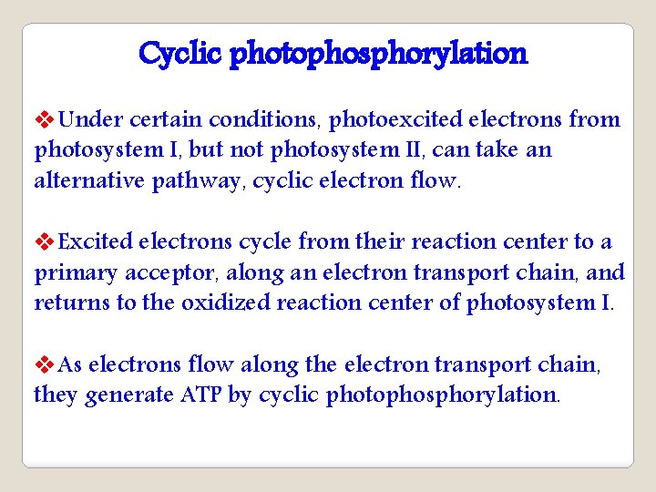Cyclic photophosphorylation v. Under certain conditions, photoexcited electrons from photosystem I, but not photosystem