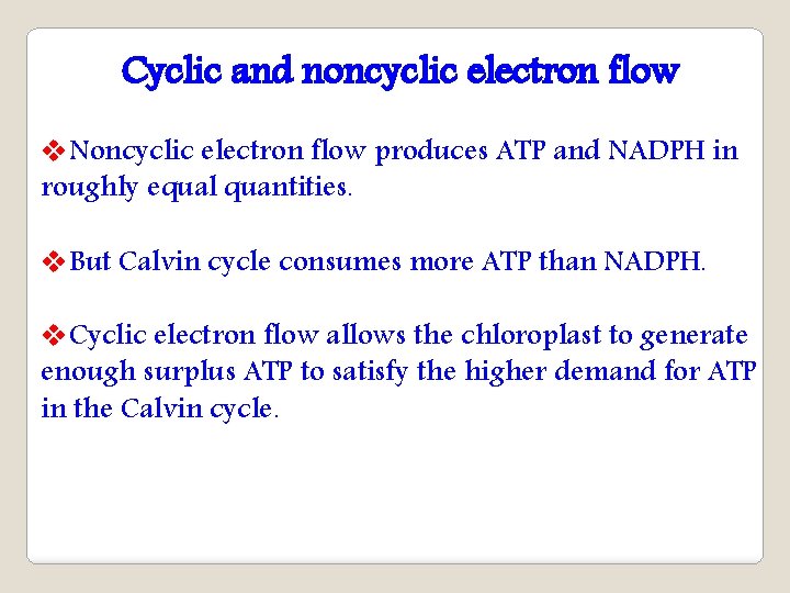 Cyclic and noncyclic electron flow v. Noncyclic electron flow produces ATP and NADPH in