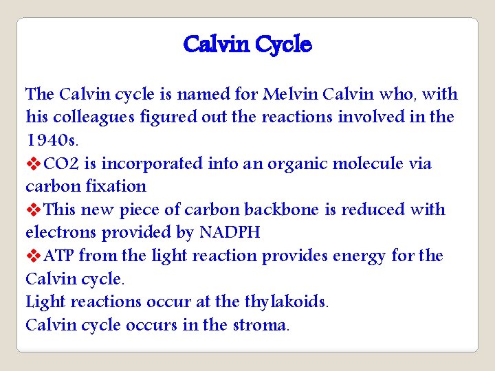 Calvin Cycle The Calvin cycle is named for Melvin Calvin who, with his colleagues