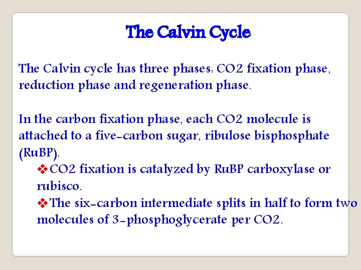 The Calvin Cycle The Calvin cycle has three phases: CO 2 fixation phase, reduction