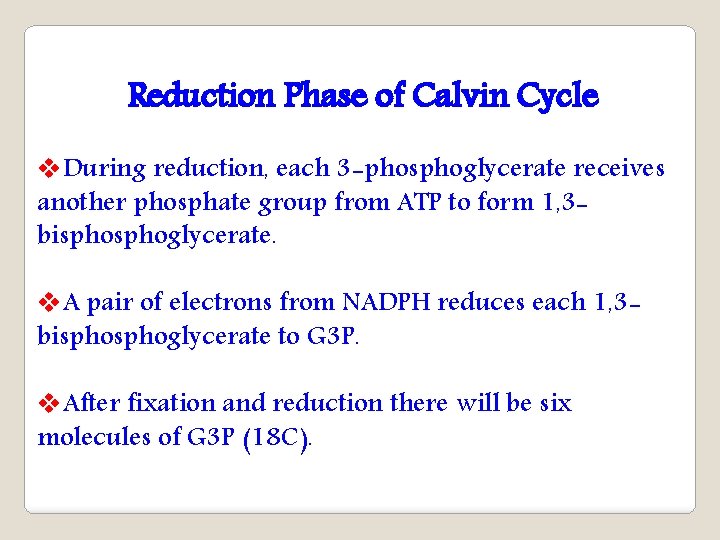 Reduction Phase of Calvin Cycle v. During reduction, each 3 -phosphoglycerate receives another phosphate