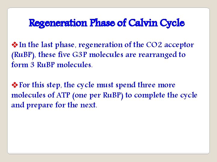 Regeneration Phase of Calvin Cycle v. In the last phase, regeneration of the CO