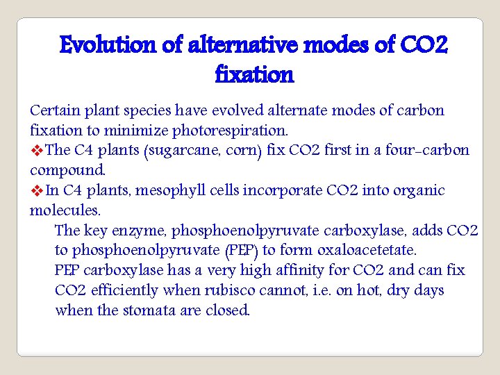 Evolution of alternative modes of CO 2 fixation Certain plant species have evolved alternate