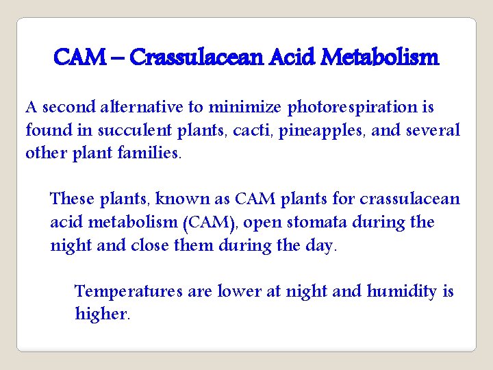 CAM – Crassulacean Acid Metabolism A second alternative to minimize photorespiration is found in