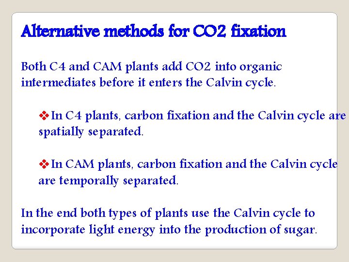 Alternative methods for CO 2 fixation Both C 4 and CAM plants add CO