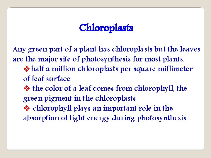Chloroplasts Any green part of a plant has chloroplasts but the leaves are the