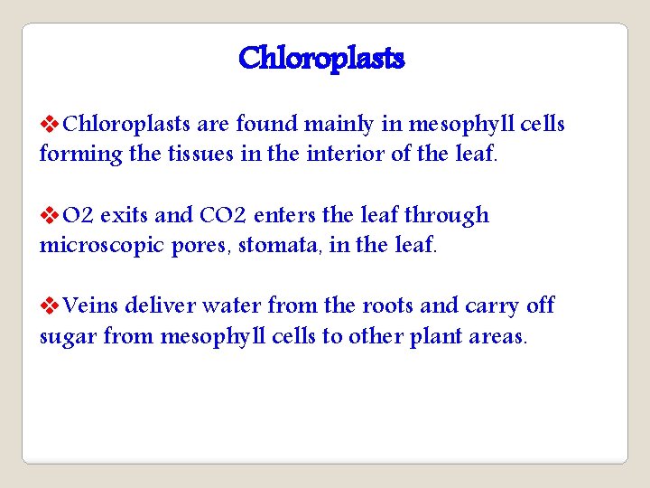 Chloroplasts v. Chloroplasts are found mainly in mesophyll cells forming the tissues in the